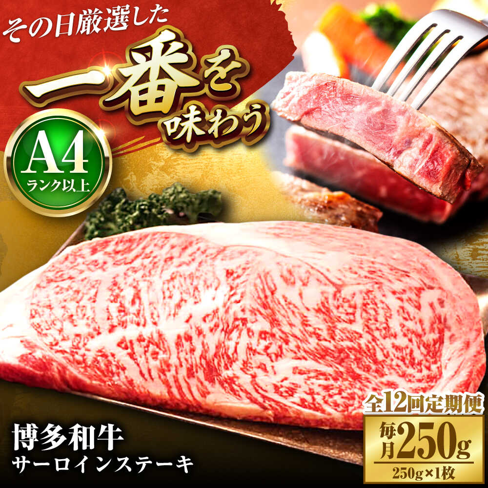 【ふるさと納税】【全12回定期便】【A4〜A5】博多和牛 サーロインステーキ 250g(250g×1枚) 吉富町/株式会社MEAT PLUS[BGAB117]