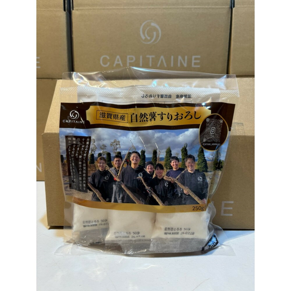 【ふるさと納税】自然薯 すりおろし 冷凍 50g×5パック