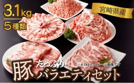  ＜2025年12月発送分＞宮崎県産豚バラエティー3.1kgセット