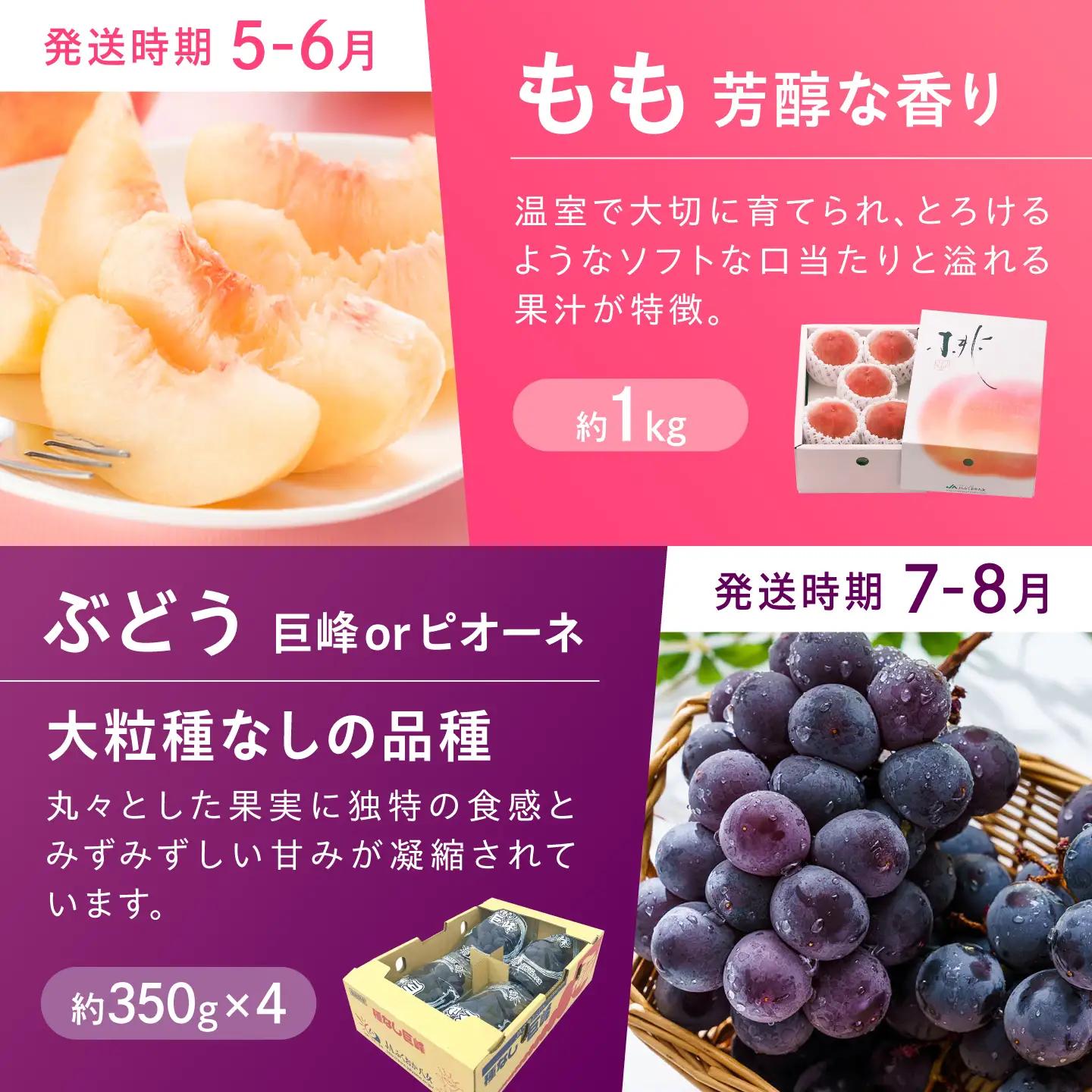 【6回定期便】フルーツ定期便 旬のフルーツ [AFAB117]