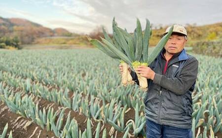 甘さが自慢の下仁田葱（Mサイズ 15本） とろける 甘い ねぎ ネギ 王様ねぎ 殿様ねぎ 特産 栄養たっぷり ブランド 上州ねぎ すきやき F21K-614