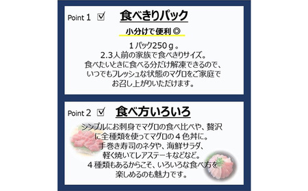 まぐろ 3回定期便 食べ比べ4種セット 合計1kg まぐろ