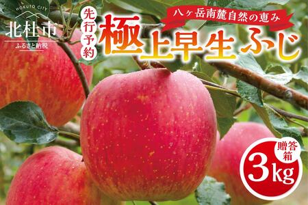 【2025年先行予約】八ヶ岳南麓自然の恵み 極上早生ふじ3kg 田丸りんご園 りんご 山梨県産 ふじ  フルーツ 果物 果実 贈答 ギフト プレゼント 山梨 八ヶ岳南麓 北杜市 明野
