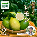 【ふるさと納税】綾町産のレモン 2kg 国産 檸檬 れもん 柑橘 フルーツ 果物 果実 くだもの 除草剤不使用 送料無料