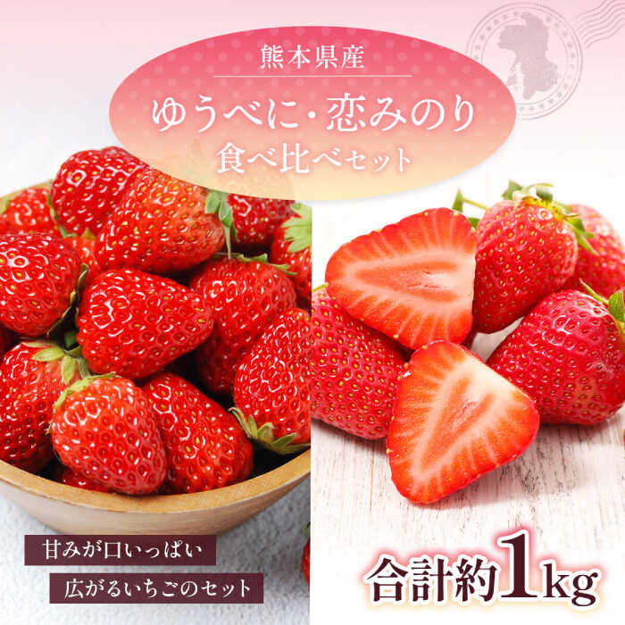 【ふるさと納税】【先行予約】 ゆうべに・恋みのり 食べ比べセット 約1kg【くまふる】苺 いちご イチゴ 品種 ゆうべに こいみのり 人気 フルーツ 果物 山鹿市 送料無料[ZBG064]