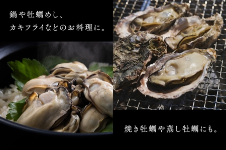 [2027年1月8日より発送！] くばおう 広島県大竹市産 殻付き牡蠣 10個 約2人前 [1876]