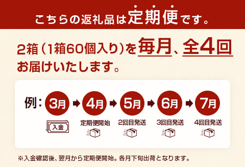 ◇＜定期便・全4回＞「一口餃子の大明神」一口餃子セット 2箱（120個入り） 毎月お届け