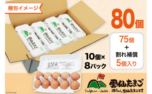 BI035 6回 定期便 雲仙たまごLサイズ  80個 (10個入り×8パック)(75個＋割れ補償5個入り) [ 卵 たまご 生卵 鶏卵 赤卵 玉子 新鮮 塚ちゃん雲仙たまご村 長崎県 島原市 ]