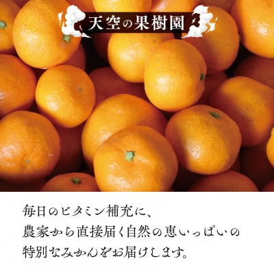 天空の果樹園から届くそらみかん (3kg)【A95-7】【1668512】