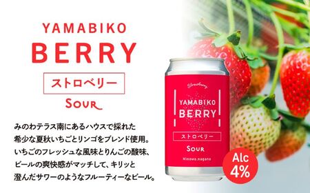 クラフトビール YAMABIKO BEER 3種 計6本 飲み比べ セット 赤そば ブルーベリー ストロベリー 詰め合わせ 地ビール フルーツ ビール フルーツビール お酒 酒 アルコール 発泡酒 珍