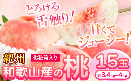 【2026年先行予約】桃 もも 紀州 和歌山産 の 桃 15玉 (約 3.4kg ～ 4kg) 魚鶴商店《2026年6月下旬-8月上旬頃出荷》｜桃桃桃桃