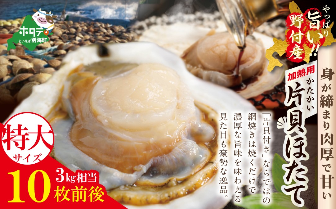 
            特大！ 野付産 片貝ホタテ（冷凍) 3kg  10枚前後 加熱用 (ふるさと納税 ほたて 大玉 生食 活きほたて 生ホタテ 生帆立 生ホタテ貝柱 帆立貝柱 天然 )
          