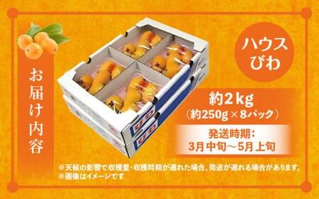 ハウスびわ 約2kg【2026年4月中旬～2026年5月上旬配送】