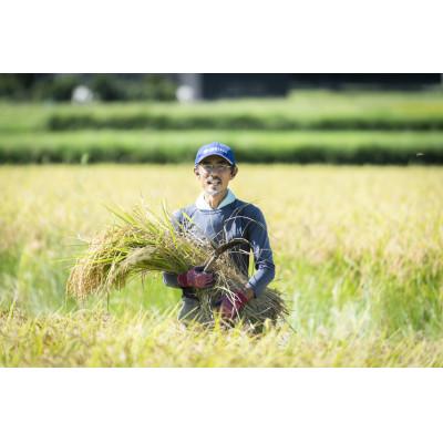 ふるさと納税 鬼北町 【愛媛県ブランド米】ひめの凜(プレミアムクオリティ)5kg |  | 01