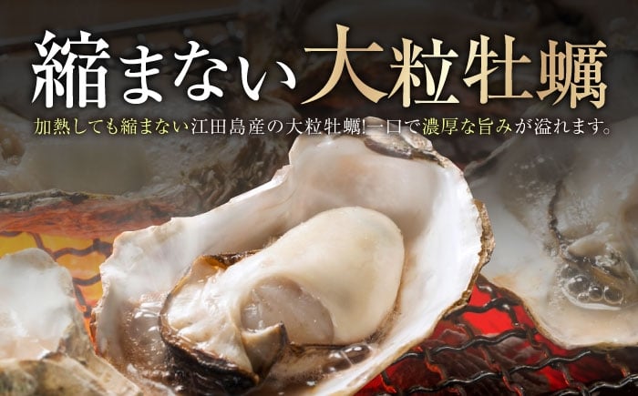 牡蠣 むき身 殻付き かき カキ 生牡蠣 広島牡蠣 オイスター カキフライ 魚介類 貝類 海鮮 広島県産 国産 産地直送