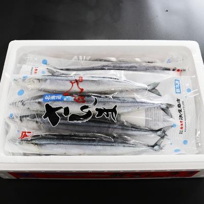 ふるさと納税 根室市 ＜12/17まで年内配送＞★冷凍生さんま20尾(4尾×5P) A-32024 |  | 03