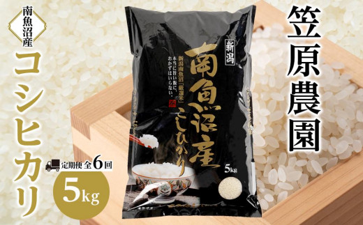 【定期便】【令和6年産新米】南魚沼産コシヒカリ【５kg×全６回】【米 お米 こしひかり 南魚沼 米 白米 こめ 新潟 米 】