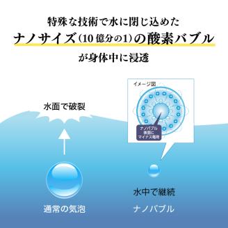 ［定期便６ヶ月］富士登山水500ml×24本入　酸素ナノバブル水　ミネラルウォーター　備蓄　　登山　送料無料（2002）