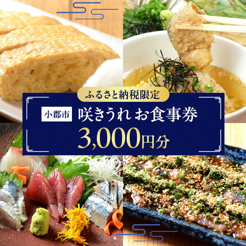 【ふるさと納税】ふるさと納税限定！お食事券 3,000円 (1,000円券×3枚) 食事券 チケット