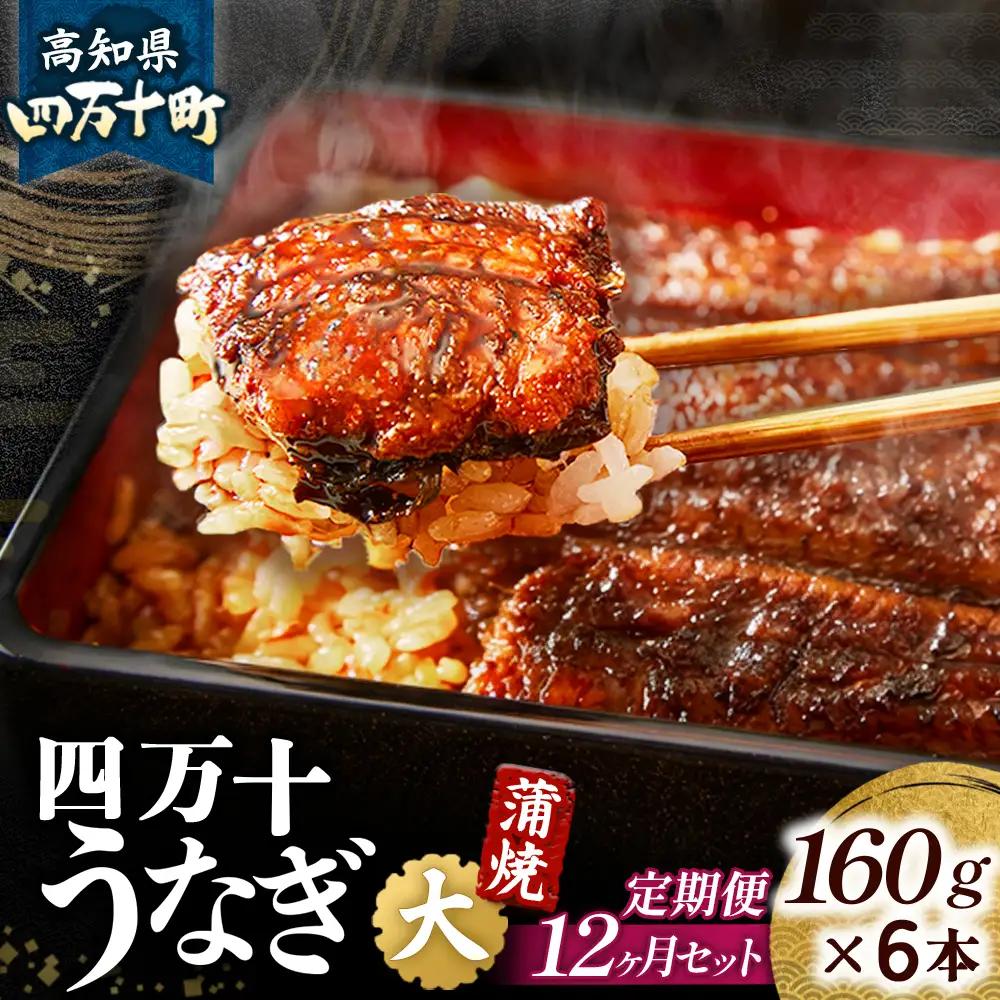 【鰻大好き定期便】四万十うなぎ 蒲焼き≪大≫12カ月定期 160gx6本／ うなぎ 国産鰻 土用の丑の日
