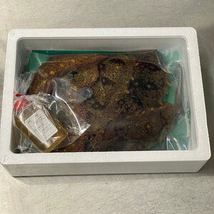 赤なまこ（活）2～6個入り 800g【1月～3月配送】 兵庫県 洲本市 淡路島