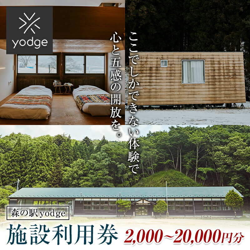 【ふるさと納税】森の駅 yodge 施設利用券 FT18-253