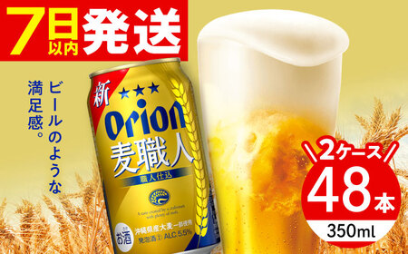 オリオンビール オリオン 麦職人 350ml (24缶×2ケース)  BCDA002