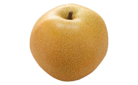 梨 2025年先行予約 岡山県産 あたご梨 約900g 1玉 お届け11月下旬～12月中旬