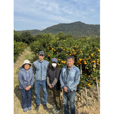 【ふるさと納税】【旨味にこだわり】里見農園のみかん Lサイズ 3kg【1693596】