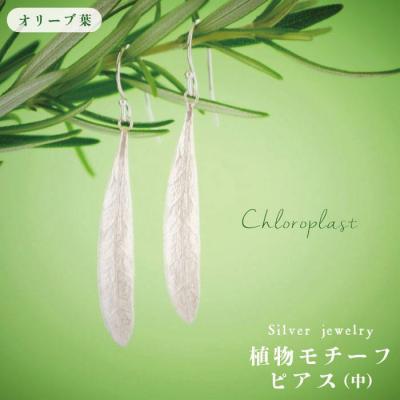 ふるさと納税 糸島市 植物モチーフオリーブ葉ピアス (中)【Chloroplast/クロロプラスト】[ALF004]
