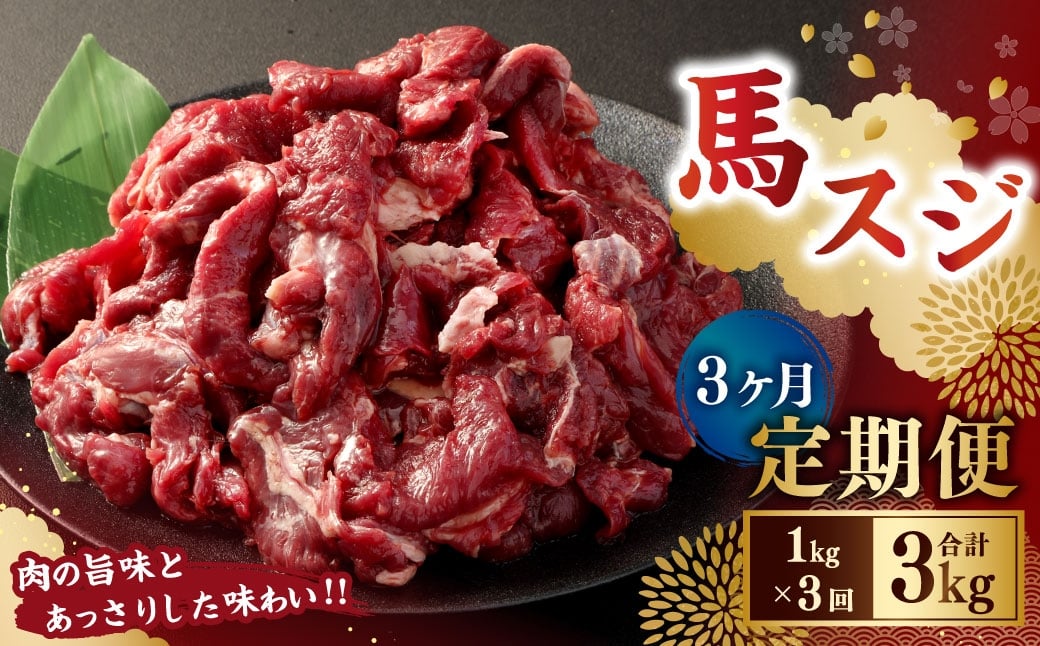 
            【3ヶ月定期便】 馬スジ1kg（500g×2パック） 合計3kg 馬肉 お肉 煮込み
          