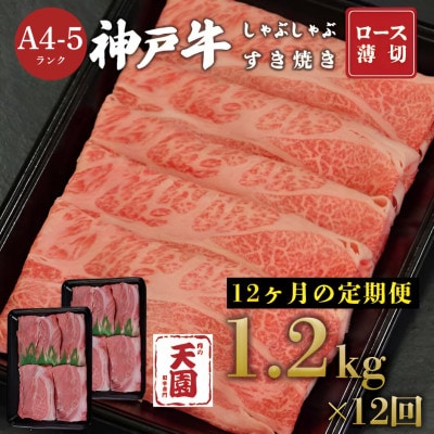 【毎月定期便】【ふるさと納税 定期便】神戸牛 霜降り肩ロースしゃぶしゃぶすき焼き1.2kg×全12回【配送不可地域：離島】