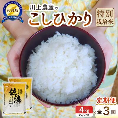 ふるさと納税 佐渡市 【毎月定期便】佐渡 川上農産のコシヒカリ 精米 4kg(2kg×2袋)全3回