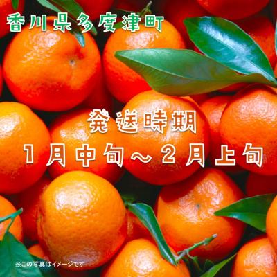ふるさと納税 多度津町 『越冬小原紅早生みかん』約3kg【令和9年1月頃より発送!】【B-33】 |  | 01