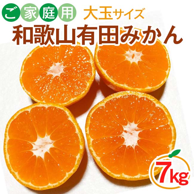 【ご家庭用】和歌山有田みかん約7kg(2L、3Lサイズ)〇 ※北海道・沖縄・離島への配送不可 ※2025年10月中旬～2026年1月下旬頃に順次発送予定