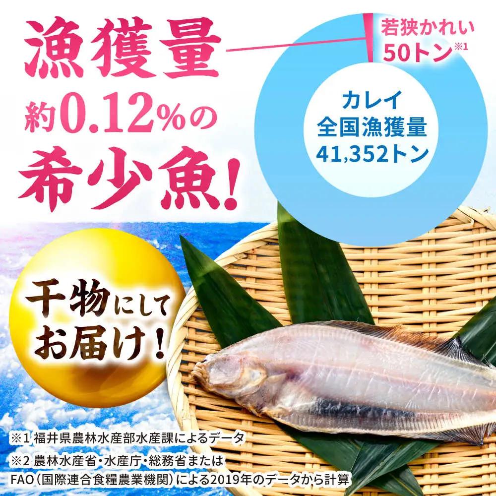 国産 若狭かれいの一夜干し 300g ヤナギムシカレイ [B-007037] [BFAE022] 【配送不可地域：北海道・沖縄・離島】 