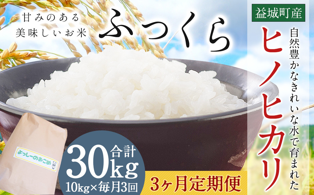 【3回定期便】令和6年産 熊本益城町 精米 ヒノヒカリ 10kg×3回 合計30kg