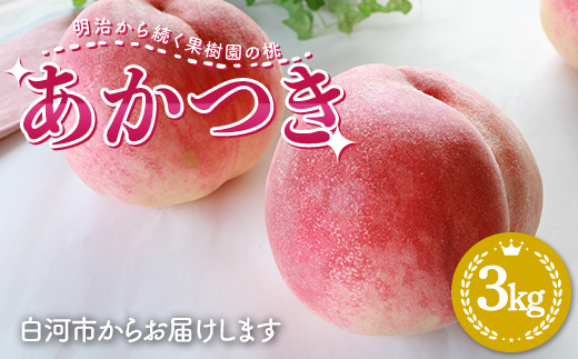 明治から続く果樹園の桃「あかつき」3kg（10～12玉） 桃 モモ もも 果物 くだもの フルーツ 福島県 白河市 F23R-816