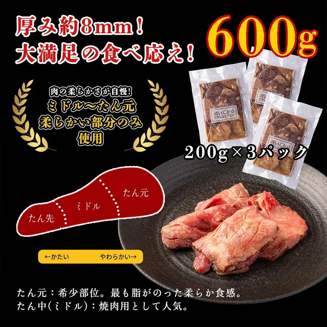 仙台名物　特選厚切り牛たん　600g【職人の塩味】 牛タン　【04209-0252】