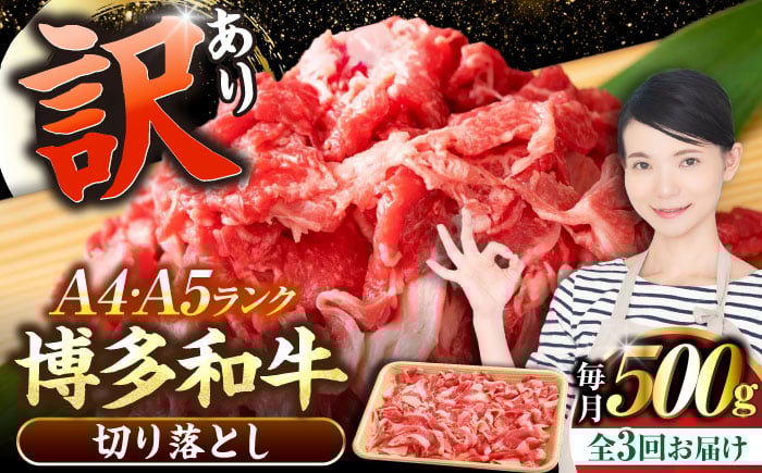 
            【全3回定期便】【訳あり】【A4〜A5ランク】博多和牛 切り落とし 500g《豊前市》【株式会社木村食品】国産 黒毛和牛 牛丼 肉じゃが [VDZ045]
          