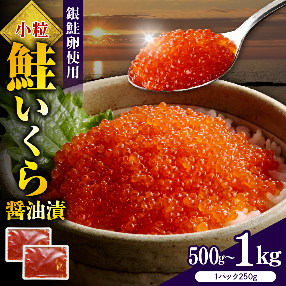 【ふるさと納税】 鮭いくら 醤油漬け 小分け 【 内容量が選べる 】( 250g × 2箱 / 4箱 ) | 500g 1kg いくら 大容量 ikura だし風味 冷凍 鮭卵 魚卵 いくら丼 秋 旬 魚介 海鮮 海の幸 海産物 レビューキャンペーン 家庭用 訳あり お取り寄せ 送料無料 えりも町