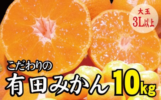 【農家直送】有田みかん 約10kg  大玉3L以上 有機質肥料100% ※2024年12月初旬～12月末に順次発送(お届け日指定不可)【nuk139E】