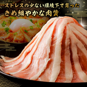 房総ブランド豚　里見和豚　小分け　モモ肉スライス600g（150g×4パック）個別包装　トレイ不使用 mi0017-0006