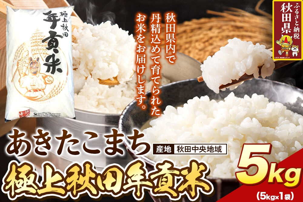 
                  米 極上秋田年貢米 あきたこまち 秋田中央地域 5kg 令和7年産 秋田県産 [米 お米 こめ 白米 精米 ご飯 ごはん 米どころ 秋田県産 5kg袋 あきたこまち]
                