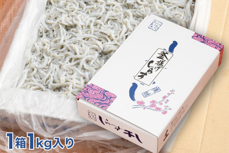 定期便 釜揚げしらす (1kg×6か月) 天然 釜揚げ ふっくら しらす シラス 魚 さかな 魚介 離乳食