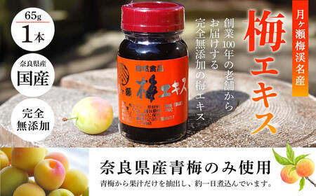 【梅エキス】65g 月ヶ瀬梅渓名産 梅 I-247