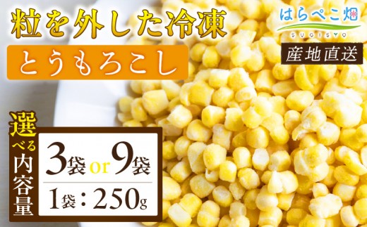 
                  《選べる容量》 粒を外した冷凍とうもろこし（250g/袋）・H092-SKU
                