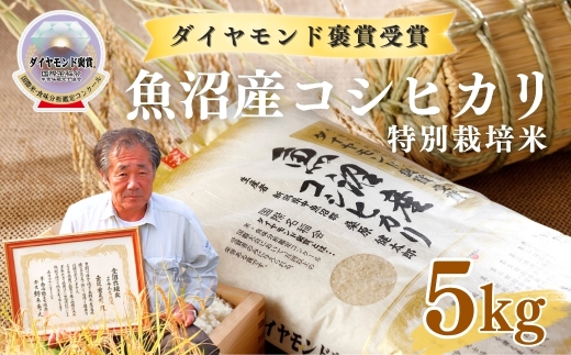 【令和8年産先行予約】魚沼産コシヒカリ 5kg(5kg×1袋) 特別栽培米 ダイヤモンド褒賞受賞 |  新潟産コシヒカリ 新潟県産コシヒカリ 魚沼産こしひかり 米 お米 こしひかり 白米 精米 ブランド米 最高級 新潟県 津南町