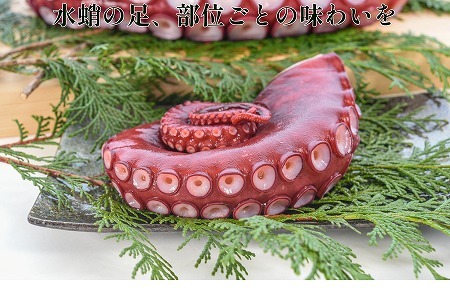 【北海道根室産】ボイル水たこ足先12P(計4.5kg) D-20004