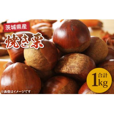 ふるさと納税 鹿嶋市 【先行予約】【11月下旬より発送】焼き栗 1kg(茨城県産)